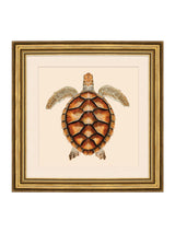 Next Brookpace Lascelles Brown/Gold Turtle 2' Coastal Wall Art- Buy online at McGrocer