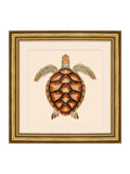 Brookpace turtle wall art 48cm gold frame - British product