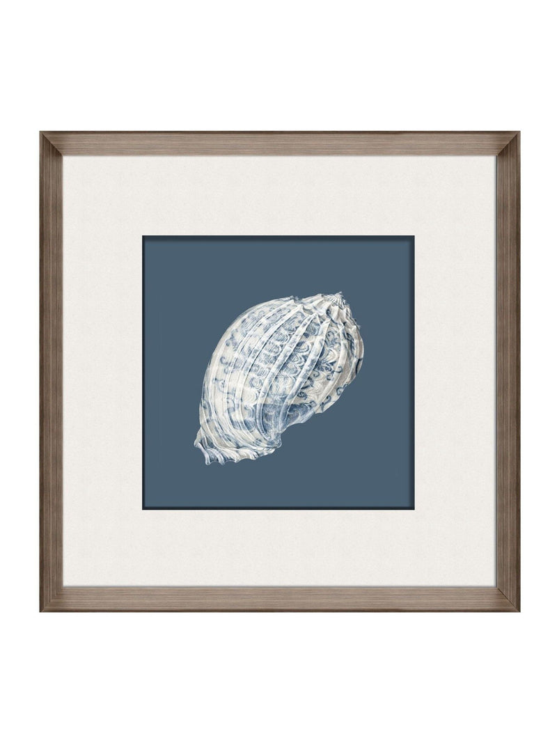 Brookpace Lascelles porcelain shell wall art in deep frame, UK version