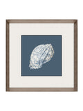 Brookpace Lascelles porcelain shell wall art in deep frame, UK version