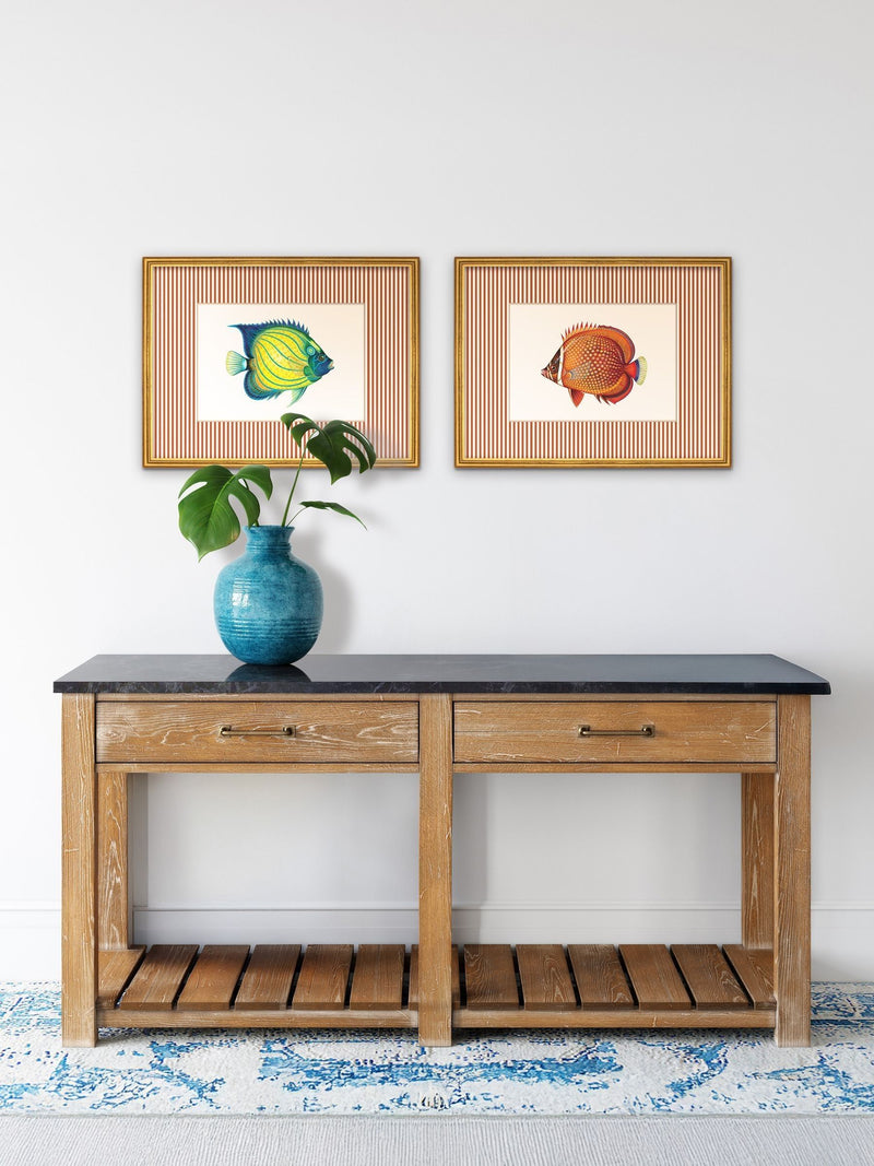 Brookpace Lascelles tropical fish wall art red striped frame 43x33cm (British brand)
