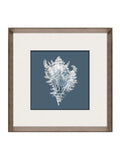 Brookpace Lascelles conch shell print frame 56cm, British product