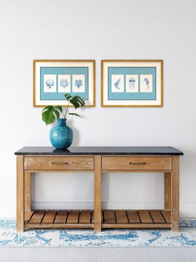 Next Brookpace Lascelles Blue/White Seaweed Trio Framed Print- Buy online at McGrocer