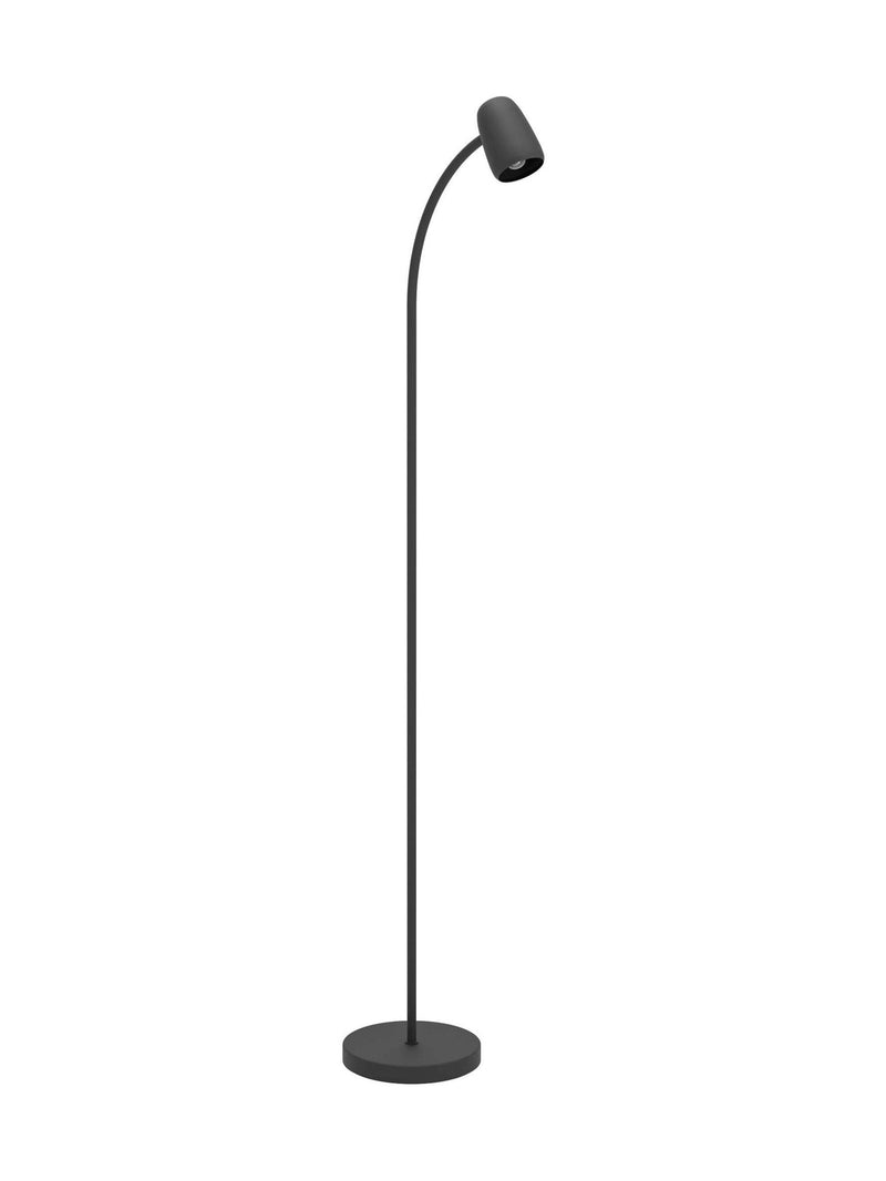 Eglo Black Carlo steel floor lamp, UK version