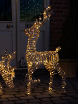 Next Charles Bentley Brown Large Rattan Light Up Reindeer Christmas Decoration 120cm- Buy online at McGrocer
