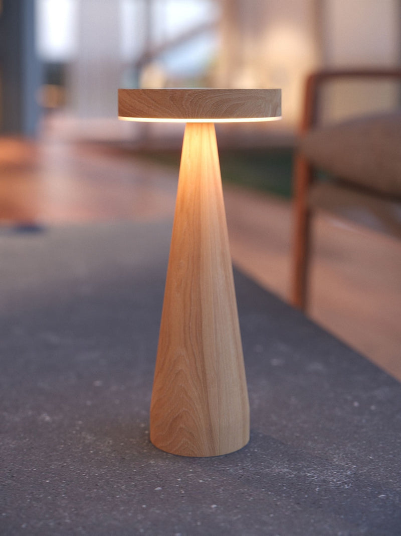 The Solar Centre Seattle USB solar table light, UK version