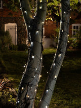 Next The Solar Centre Elan USB Solar Dual Fairy Lights 100 LED Warm White- Buy online at McGrocer