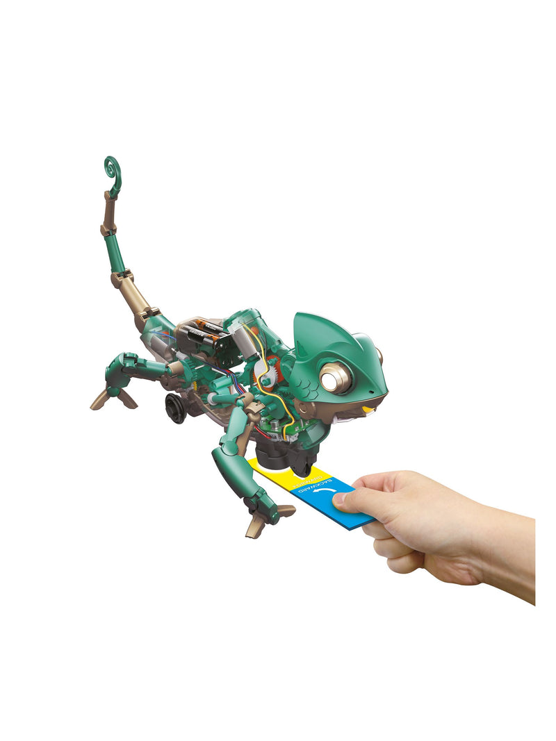 MenKind Codee Chameleon robotics kit (British brand)