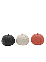 Next Widdop Multi Mini LED Light Up Pumpkin Set- Buy online at McGrocer