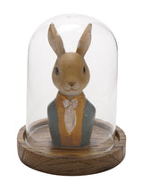 Next Widdop Brown Suited Bunny Glass Dome Figurine Home Ornament 14cm Height- Buy online at McGrocer