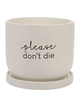 Next Widdop White Please Don't Die Ceramic Plant Pot- Buy online at McGrocer