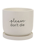 Widdop white ceramic plant pot, imported from the UK
