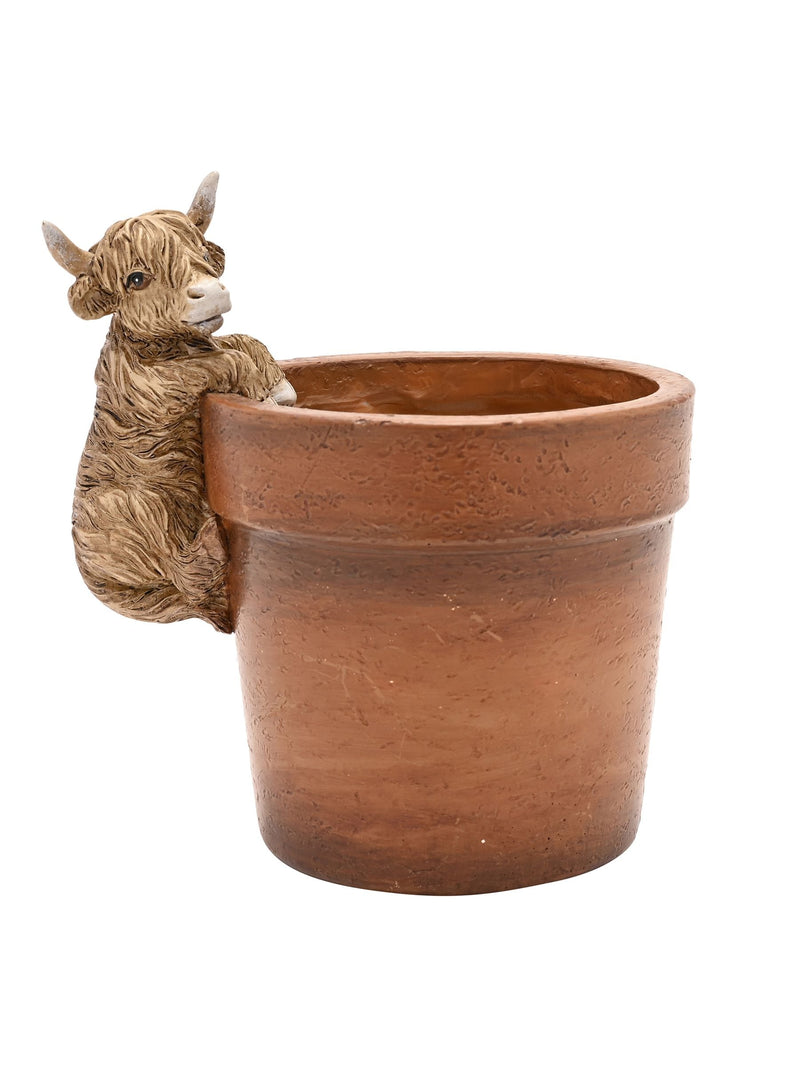 Widdop Brown Highland Cow plant pot 13cm - British product