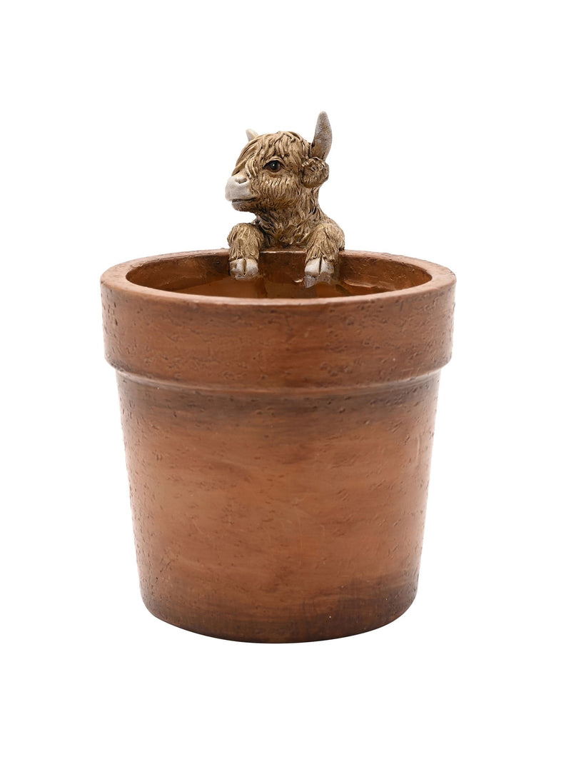 Widdop Brown Highland Cow plant pot 13cm - British product