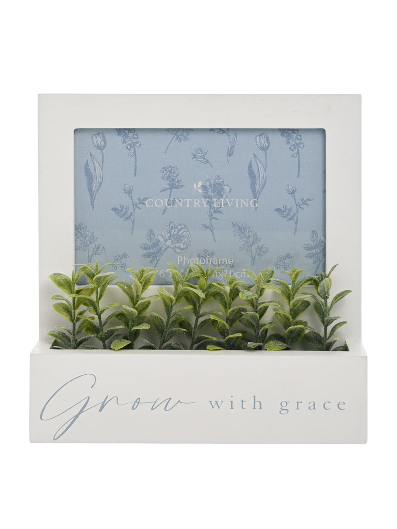 Widdop White wooden photo frame and planter, 19cm, imported from the UK