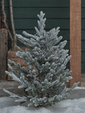 Lights4fun 3ft dual colour LED Christmas tree stake light (British brand)