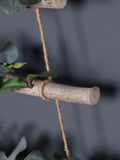 Dibor eucalyptus Christmas tree ladder wall hanging - British product