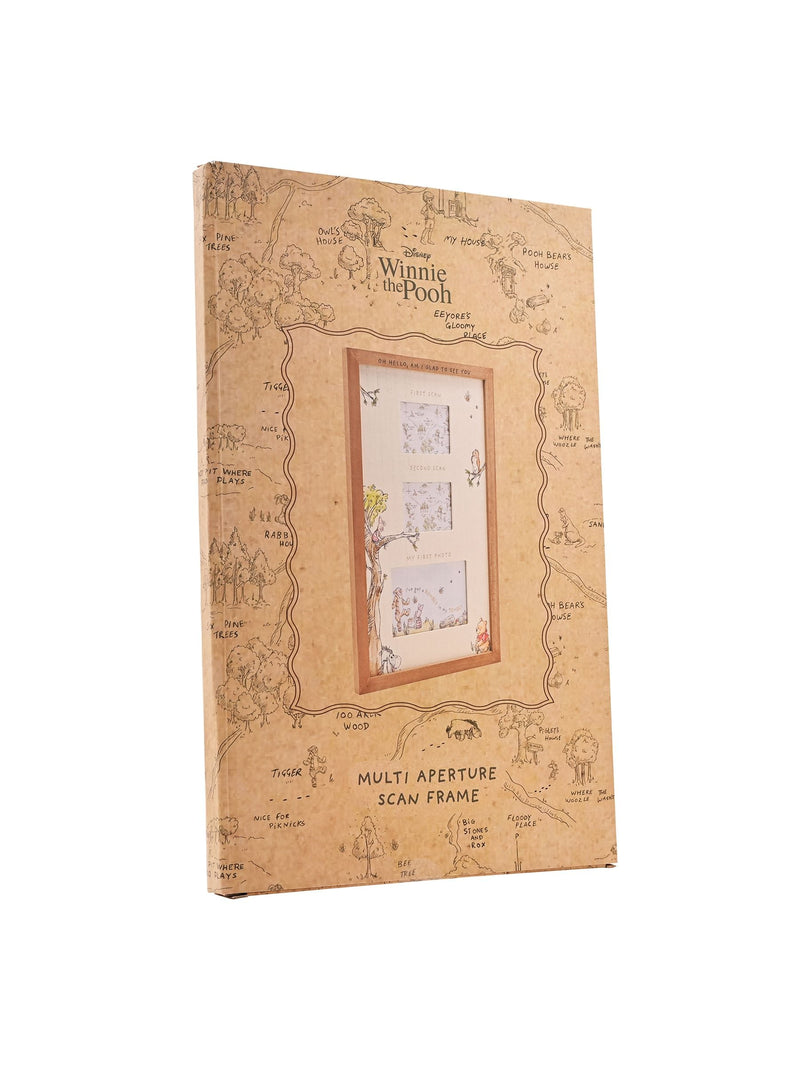 Widdop Disney Winnie the Pooh multi aperture scan frame - British product