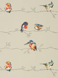 Harlequin brown Persico wallpaper Purity Edit, UK version