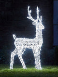 Lights4fun LED light-up reindeer 1.2m, imported from the UK