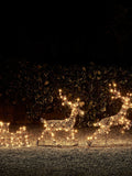Lights4fun rattan reindeer sleigh with LEDs (British brand)