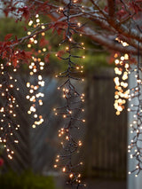 Next Lights4fun 6 Warm White Cascading LED Cluster Lights- Buy online at McGrocer