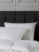 Next Downland Luxury Cotton Feels Like Down Pillow Pair- Buy online at McGrocer