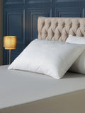 Downland Forever Full pillow pair 48x74cm, British product
