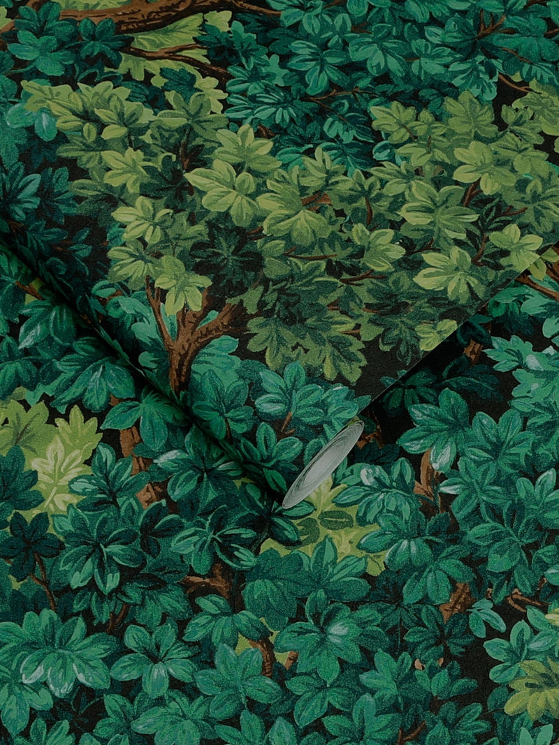 Graham & Brown Coppice Forest wallpaper sample A4, imported from the UK