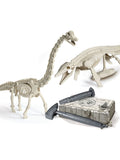 Clementoni Jurassic World dig set with two dinosaur skeletons (British brand)