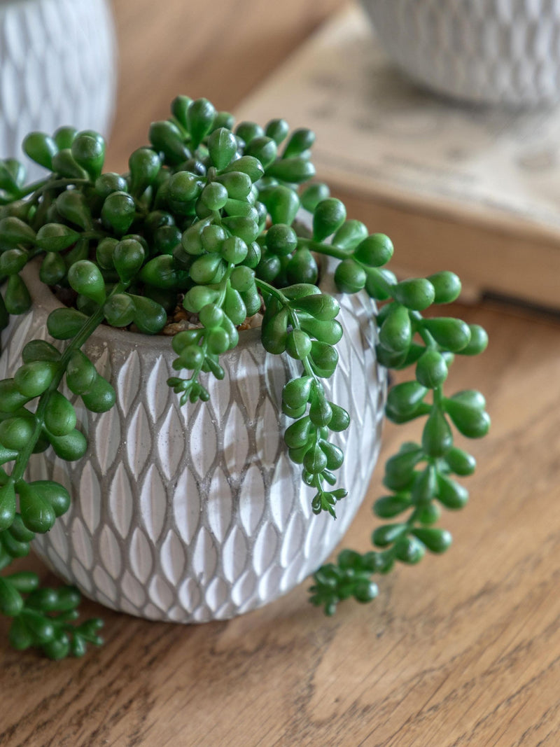 Gallery Home faux succulents set of 3 ceramic pots, imported from the UK