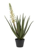 Next Gallery Home White Faux Aloe Potted Plant with Flower Artificial Plant 81cm- Buy online at McGrocer