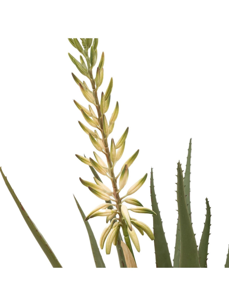 Gallery Home white faux aloe potted plant with flower 81cm, UK version