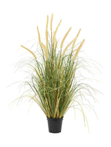 Next Gallery Home 5 Pack White Medium Faux Potted Grass with Cattail Seed Heads Artificial Plant- Buy online at McGrocer