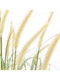 Gallery Home white medium faux grass 5-pack, UK version