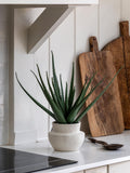 Gallery Home Faux Aloe Vera Ceramic Pot 51cm, UK version