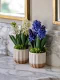 Gallery Home Set of 2 Purple Faux Spring Hydrangea in Ceramic Pots