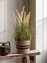 Next Gallery Home White Faux Potted Grass with Cattail Seed Heads 5 Pack Artificial Plant- Buy online at McGrocer