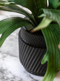Gallery Home 43.5cm faux platycerium ceramic pot, UK version