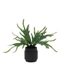 Gallery Home 43.5cm faux platycerium ceramic pot, UK version