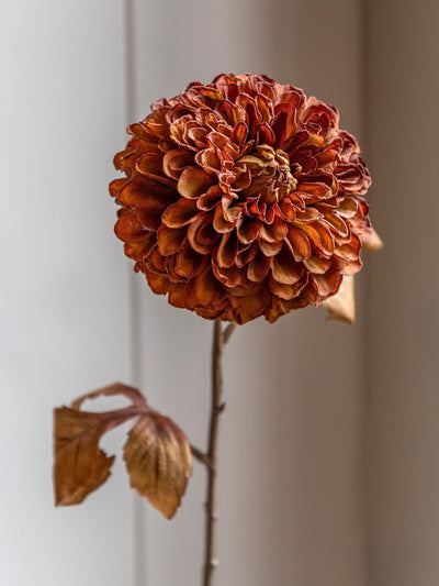 Next Gallery Home Burnt Orange Artificial Dahlias 6 Stems Flower Arrangement- Buy online at McGrocer