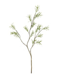 Gallery Home artificial rosemary stems 81.5cm - British product