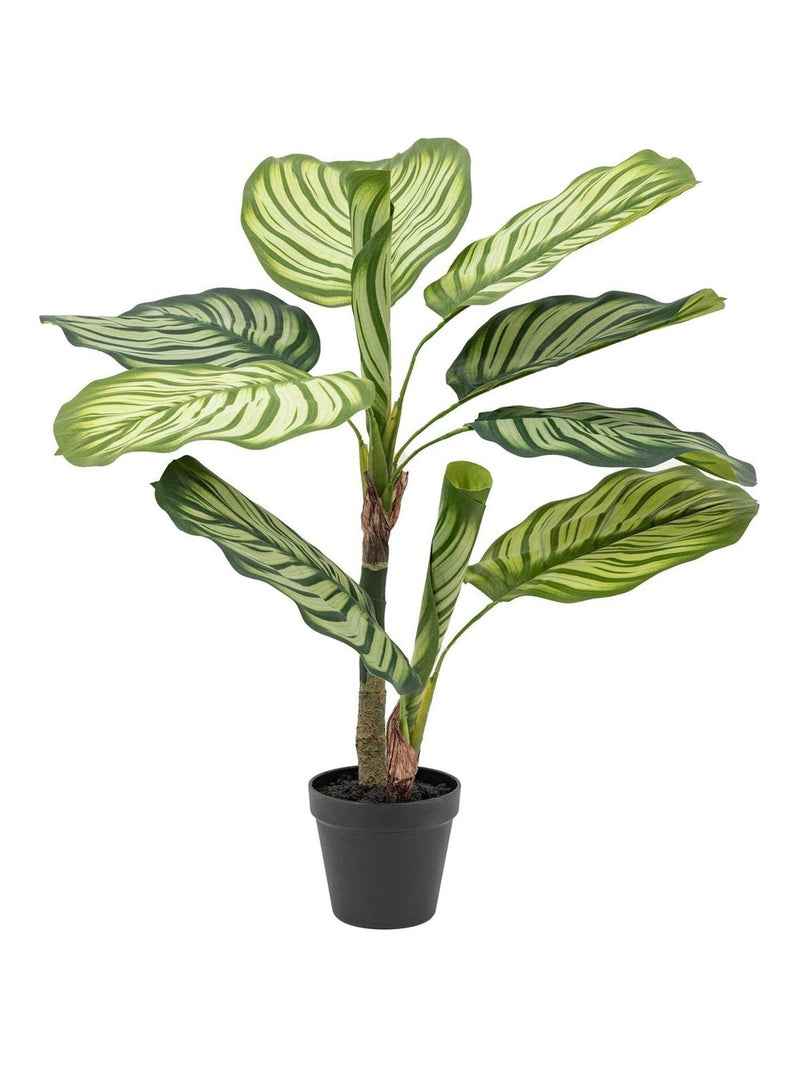 Gallery Home green faux potted Calathea plant 60cm, UK version
