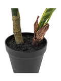 Gallery Home green faux potted Calathea plant 60cm, UK version