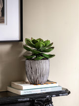Next Gallery Home Black Faux Potted Succulent in Ribbed Ceramic Pot 24cm- Buy online at McGrocer