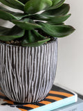 Gallery Home faux succulent in black ribbed ceramic pot, UK version