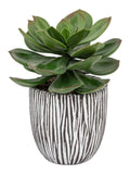 Gallery Home faux succulent in black ribbed ceramic pot, UK version