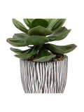 Gallery Home faux succulent in black ribbed ceramic pot, UK version