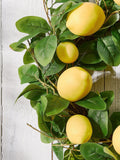 Dibor green agrumi lemon wreath 50cm - British product
