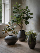 Next Gallery Home Black Artisan Metal Chatai Vase 46cm x 48cm x 48cm- Buy online at McGrocer